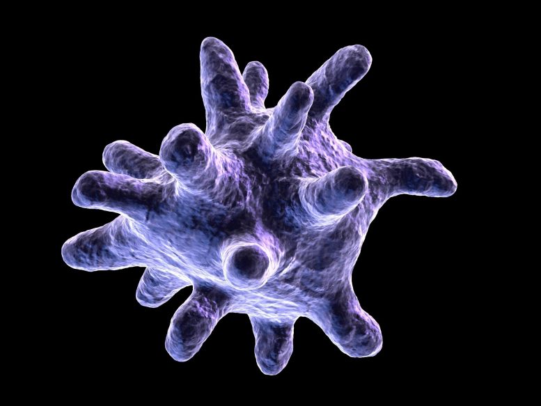 新研究揭示了肺的免疫细胞如何在出生后发育(图1)