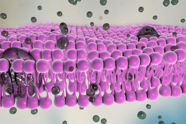 细菌毒素和 COVID 疫苗——“像魔术一样”通过细胞壁(图1)