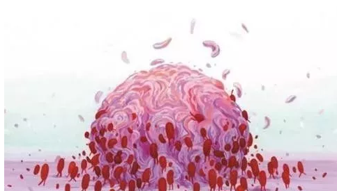 免疫细胞储存——缔造自己的生命金库(图1)