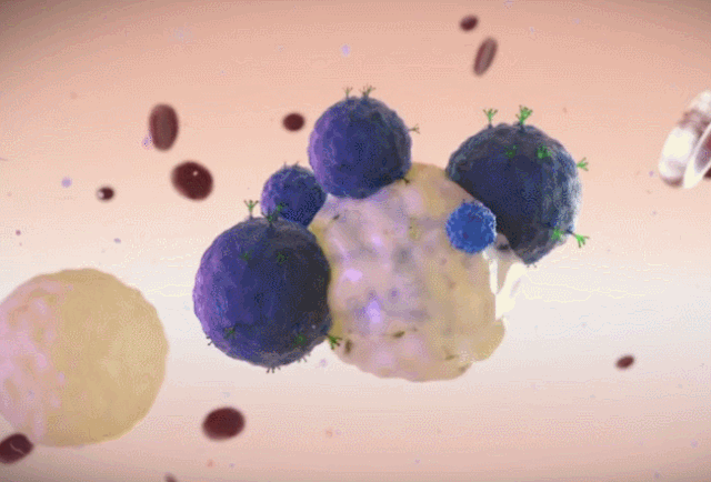 【新综述】免疫细胞来源的外泌体：具有前景的抗癌新方法(图8)