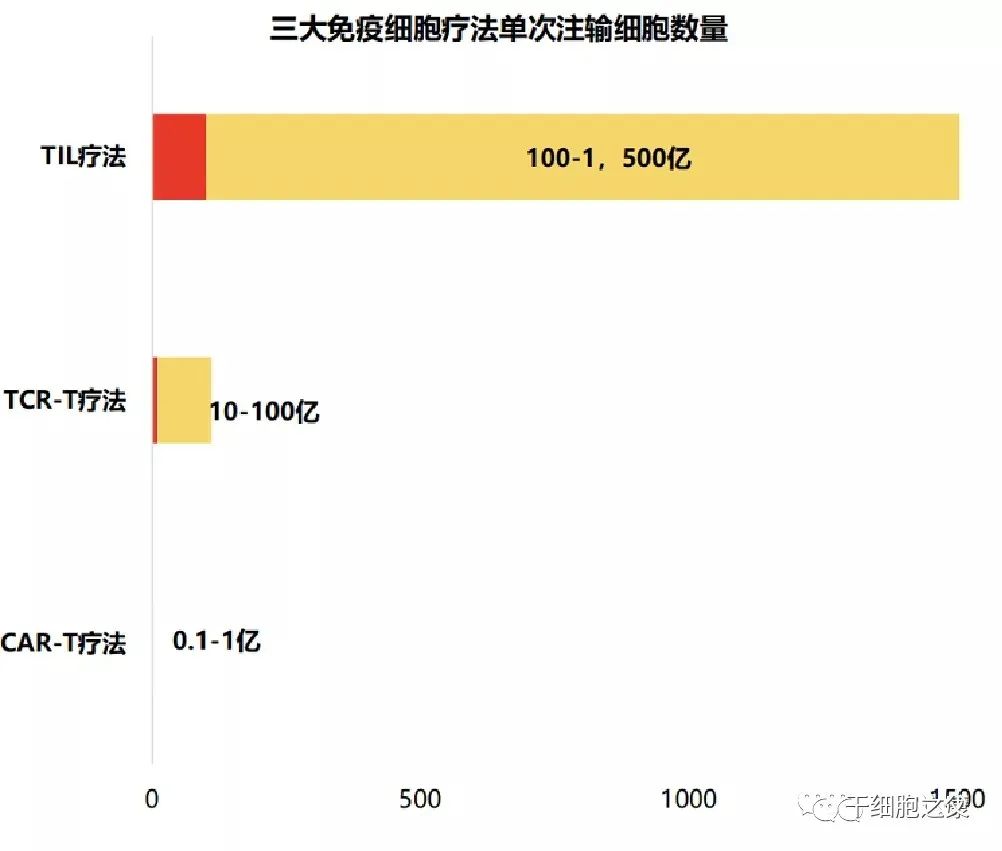 人类离攻克实体瘤又进一步，中国两款TIL细胞药物获批临床试验默示许可(图4)