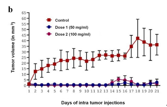 干细胞疗法又有新发现！最新报告：间充质干细胞外泌体具有杀死肿瘤细胞的能力(图3)