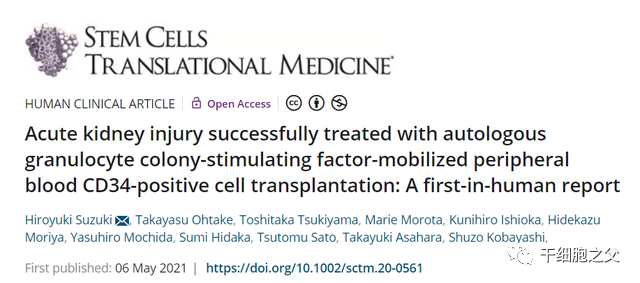 最新研究：干细胞治疗急性肾损伤，肾功能获长期改善！(图2)
