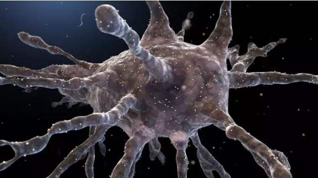 科普 ▎通俗的免疫细胞(图3)