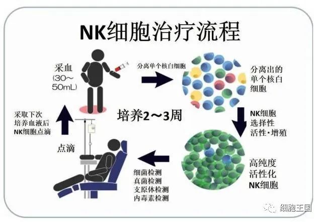 NK细胞，人体强大的抗癌前锋(图8)