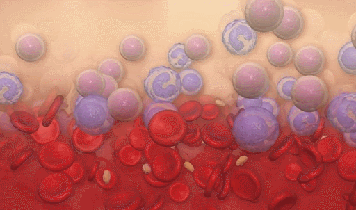 协和医学杂志：补充外源性干细胞是抗衰老的有效方法！盘点近期研究进展(图9)