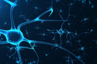 神经干细胞分泌组在神经退行性疾病治疗中的作用(图3)