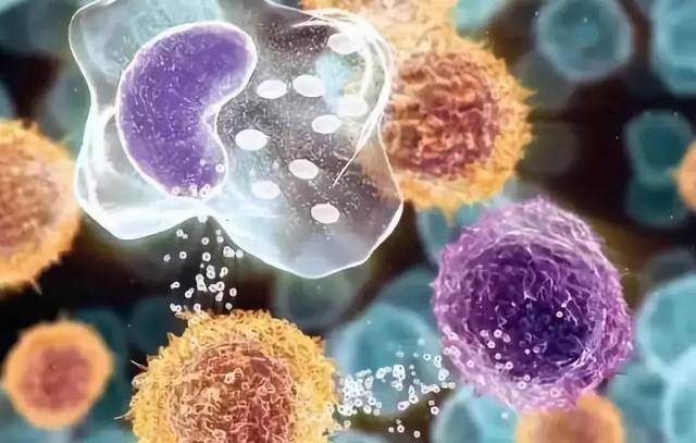 免疫细胞联合传统治疗手段，能达到1+1＞2的抗癌效果(图3)
