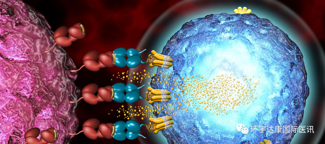 用自己的免疫细胞清除全身肿瘤！这4种T细胞疗法大获成功！已有患者无癌10年(图5)