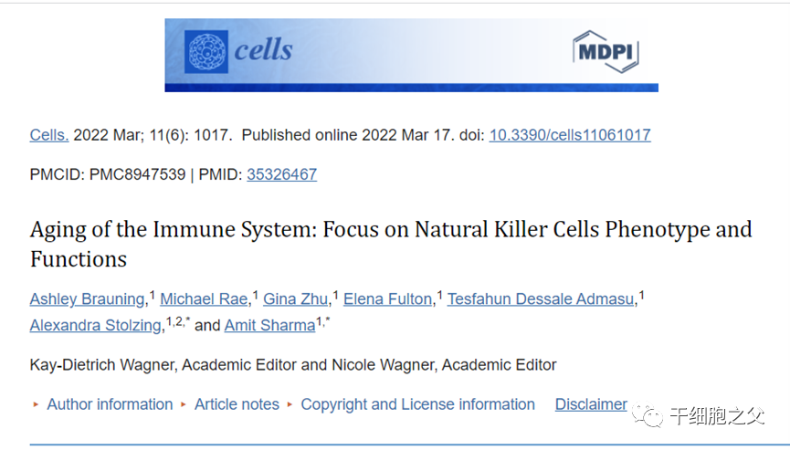 年轻的NK免疫细胞有望延缓衰老过程，治疗年龄相关疾病(图1)