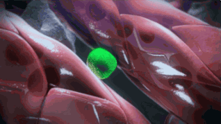 干细胞可以被理解为人体构造的祖先(图4)