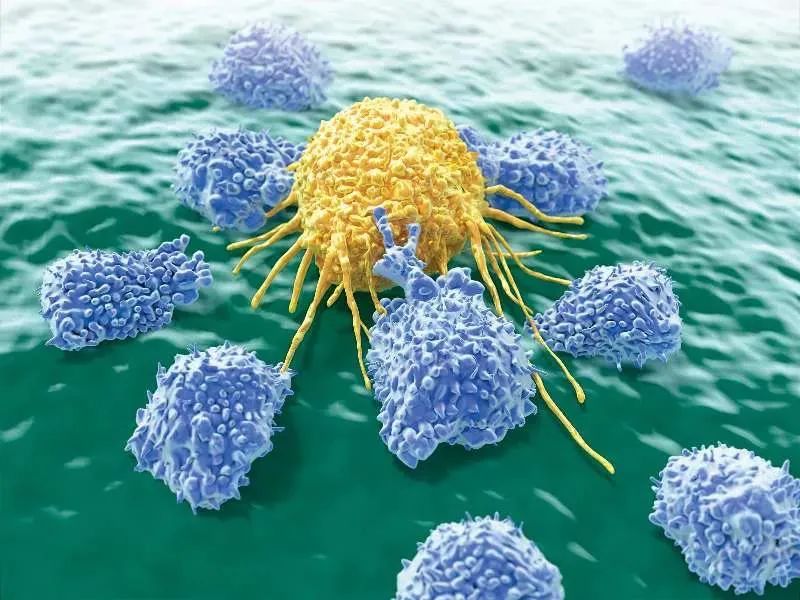 NK细胞，防癌抗衰老，改善亚健康的首选！(图1)