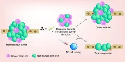免疫学权威杂志：NK细胞功能障碍是肿瘤复发和转移的关键因素！(图4)