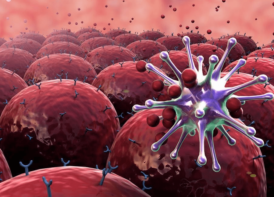 为什么说细胞是免疫系统调节的绝佳方案？(图1)