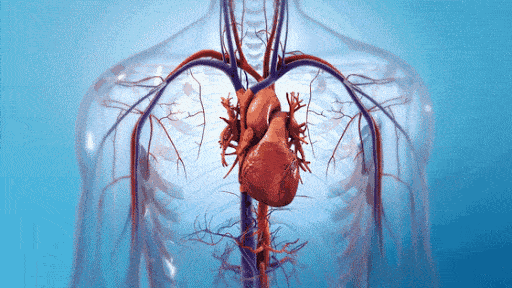 心力衰竭患者的“强心针”：干细胞治疗心力衰竭最新进展(图1)