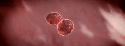 造血干细胞移植成功后，血型也会发生改变？(图3)