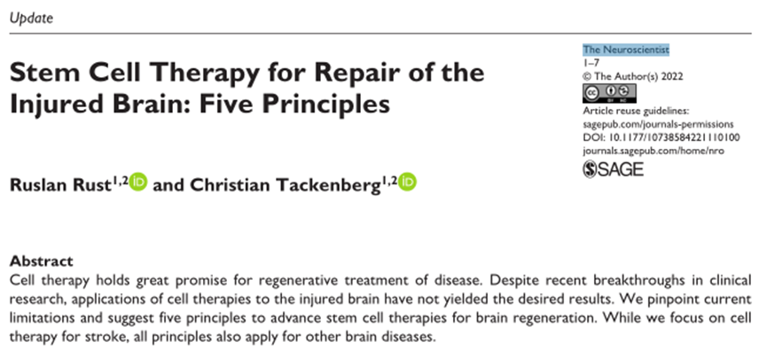 干细胞可以修复大脑损伤！科学家提出5个应用原则(图1)