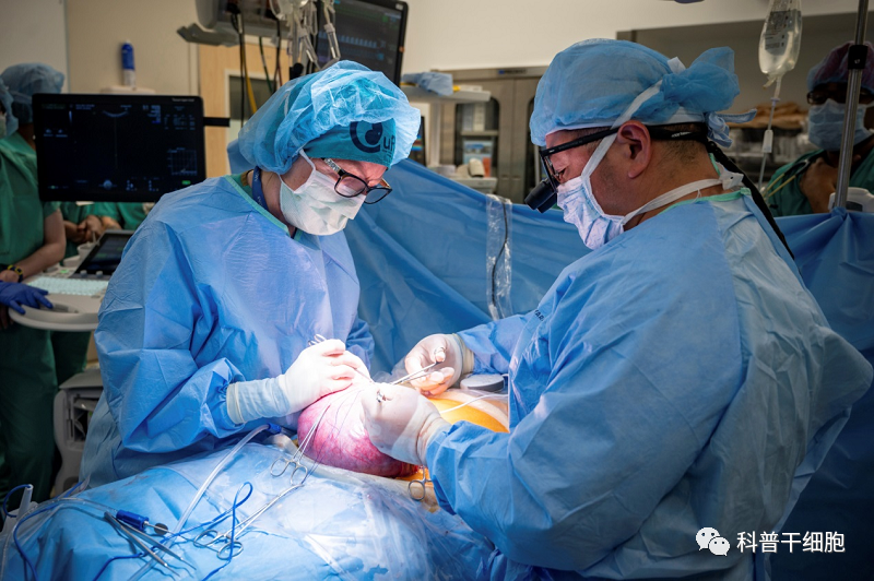 里程碑 |《科技日报》：世界首次手术与干细胞疗法结合！让脊柱裂胎儿恢复正常(图2)