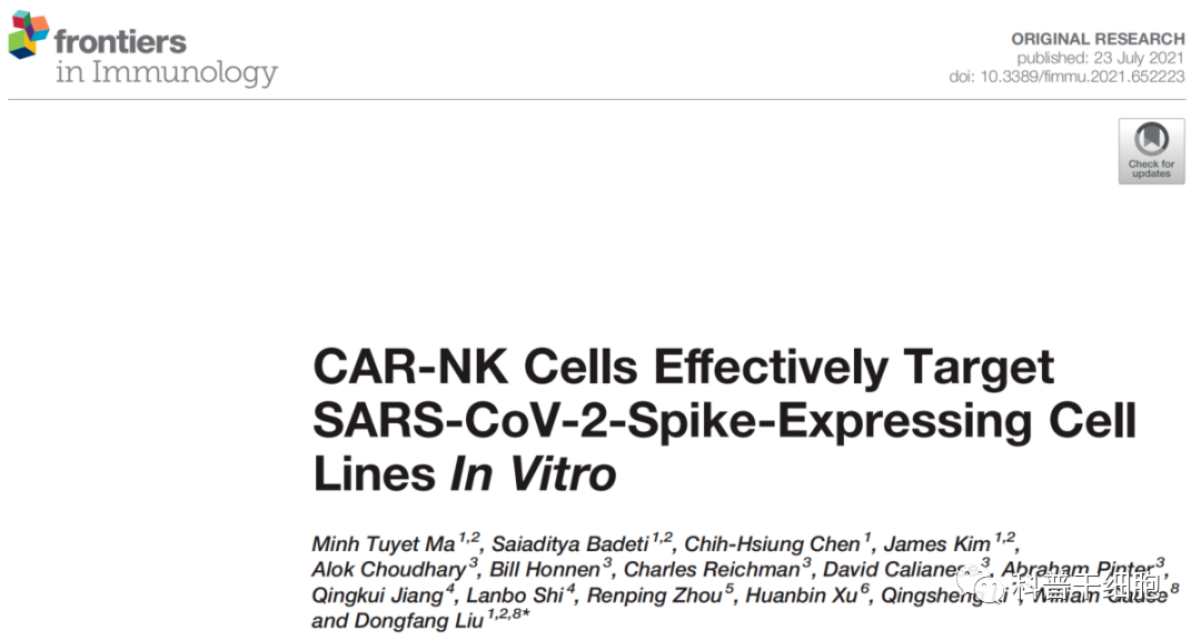 NK细胞对抵抗新冠病毒起着关键作用(图6)