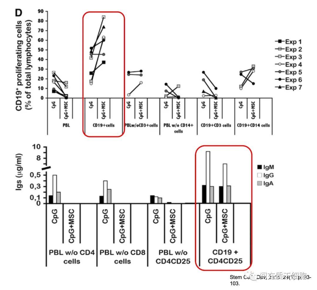 干细胞提高抵抗力：间充质干细胞促进B细胞产生天然抗体(图4)