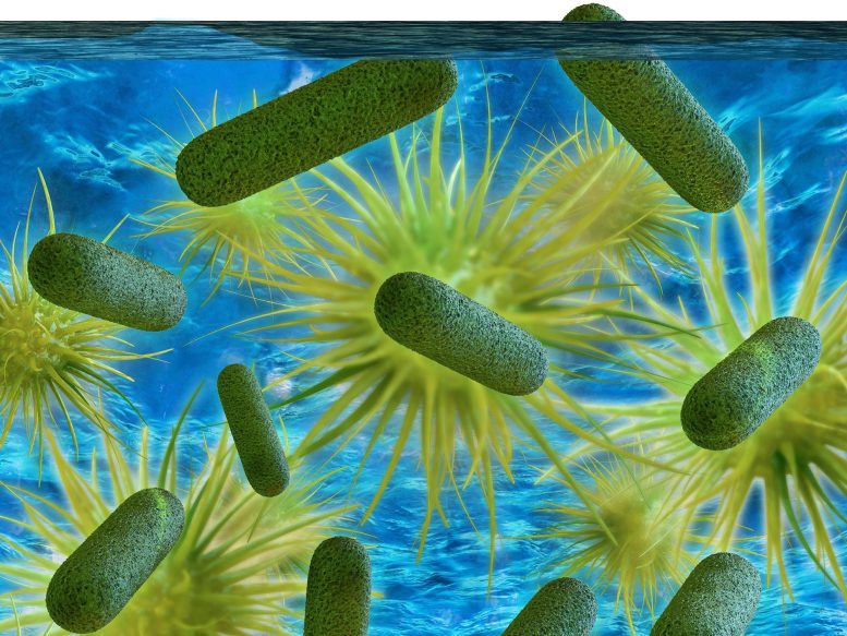 军团菌的祖先——导致军团病的细菌——20亿年前感染的细胞(图1)