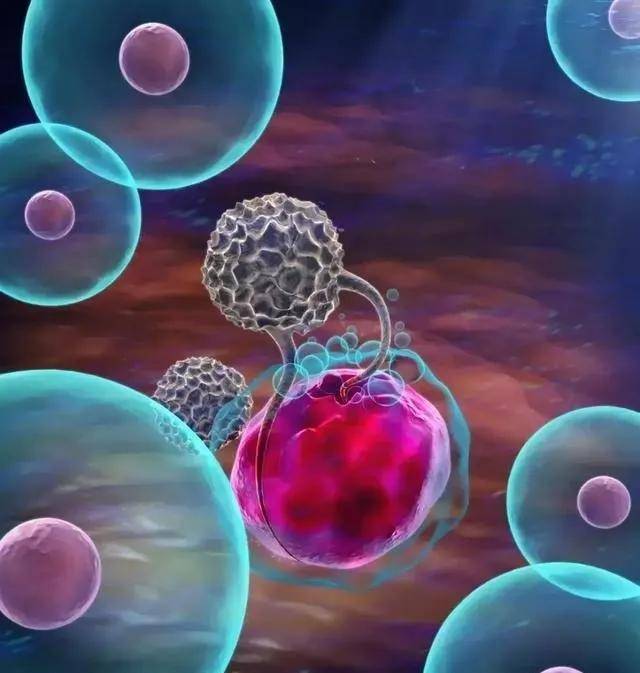 免疫细胞家族成员-NK细胞(图1)